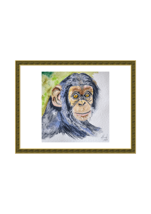🐒 Retrato de Chimpancé – Acuarela Original - Imagen 4