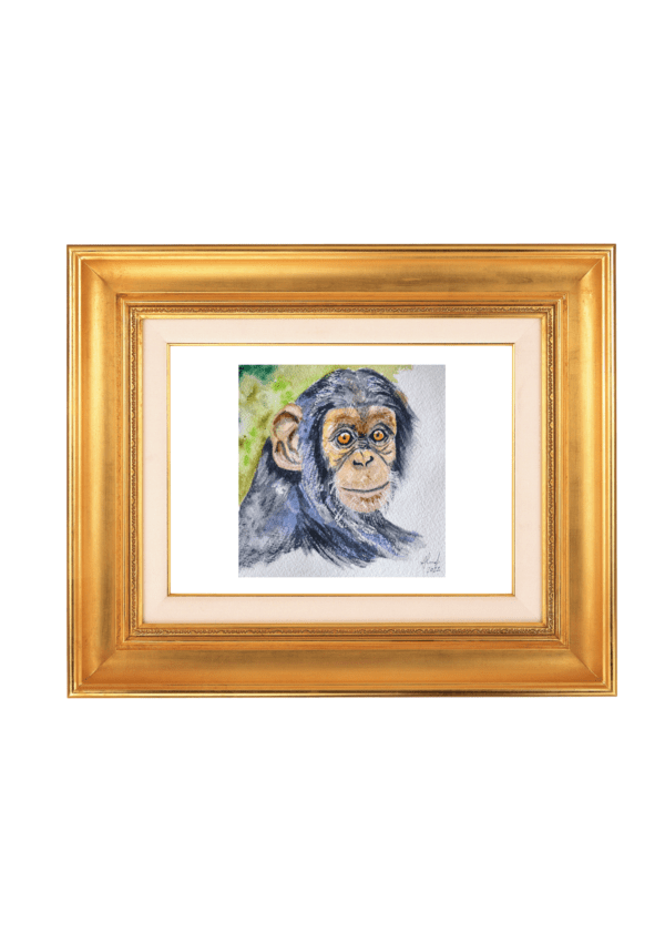 🐒 Retrato de Chimpancé – Acuarela Original - Imagen 3