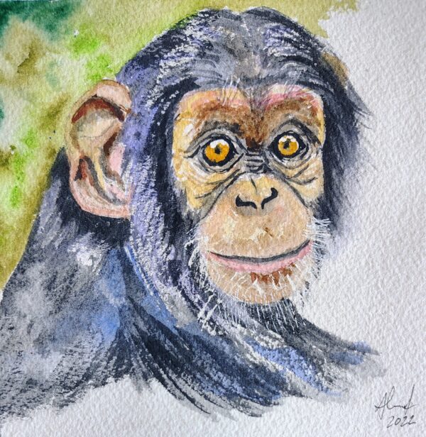 Chimpancé en acuarela